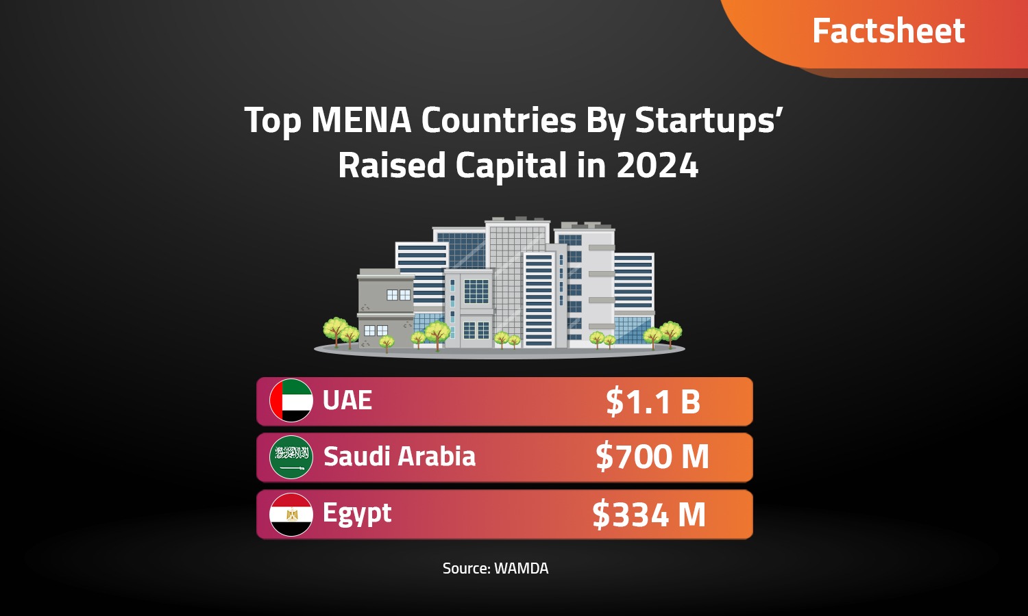 Investment Trends in Egyptian Startups in 2024

